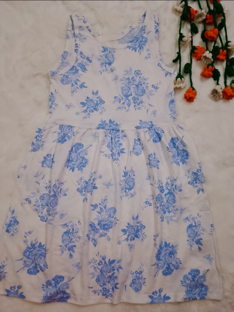 Classic Blue Stripe Dress